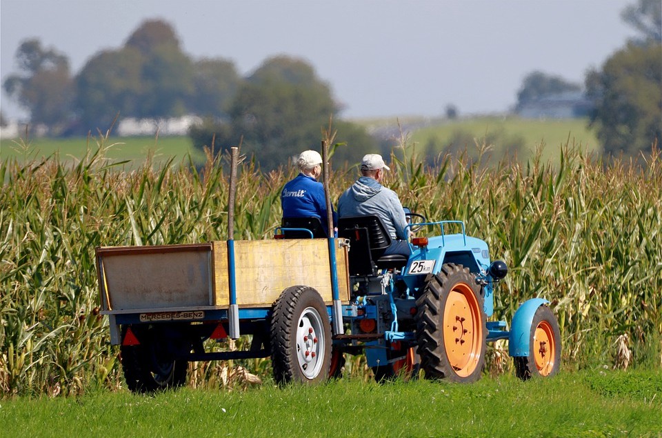 LAVORO - Assicurazione Agricola